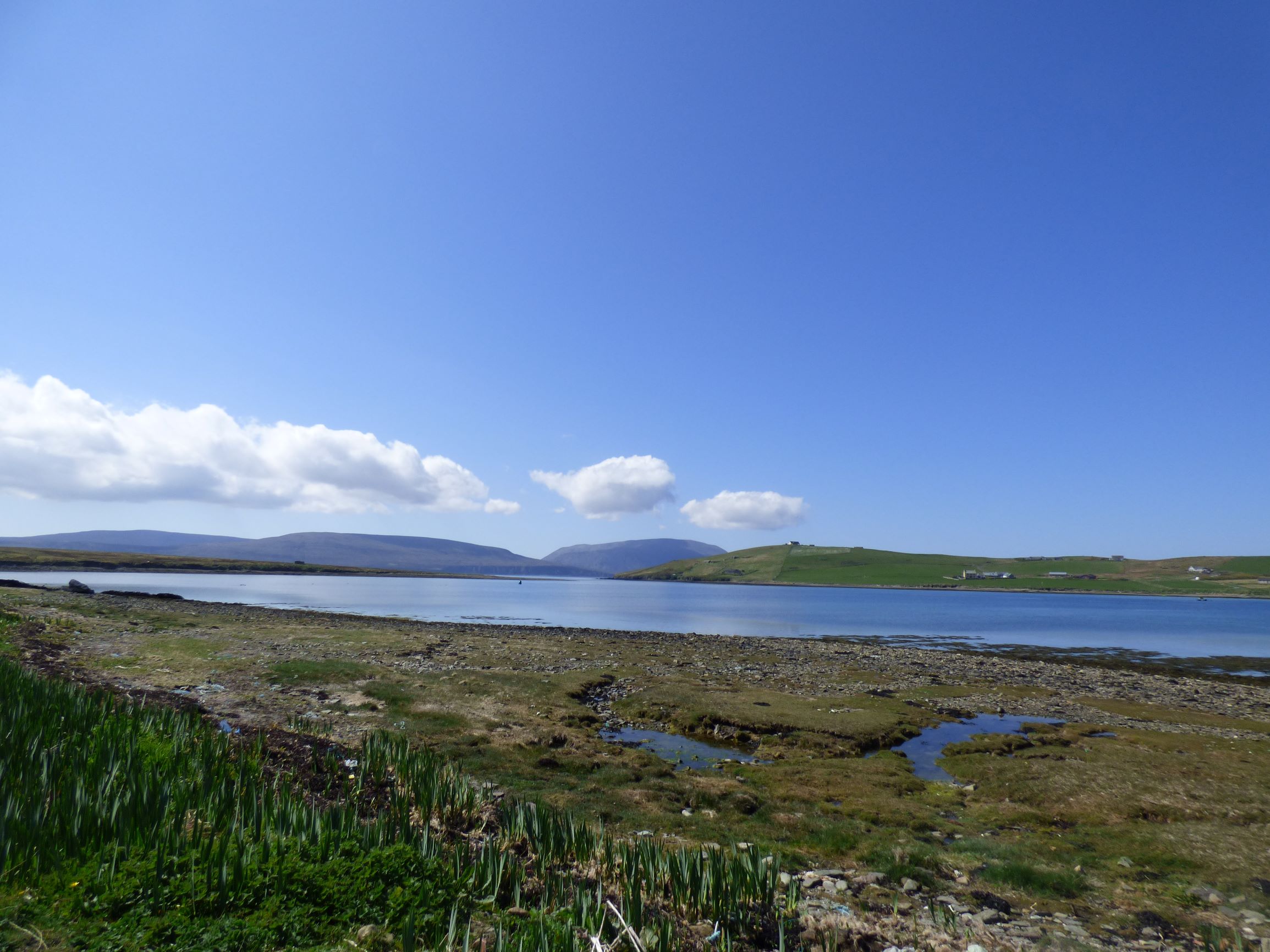 Guided Wildlilfe Walks in Orkney - Wild Orkney Walks