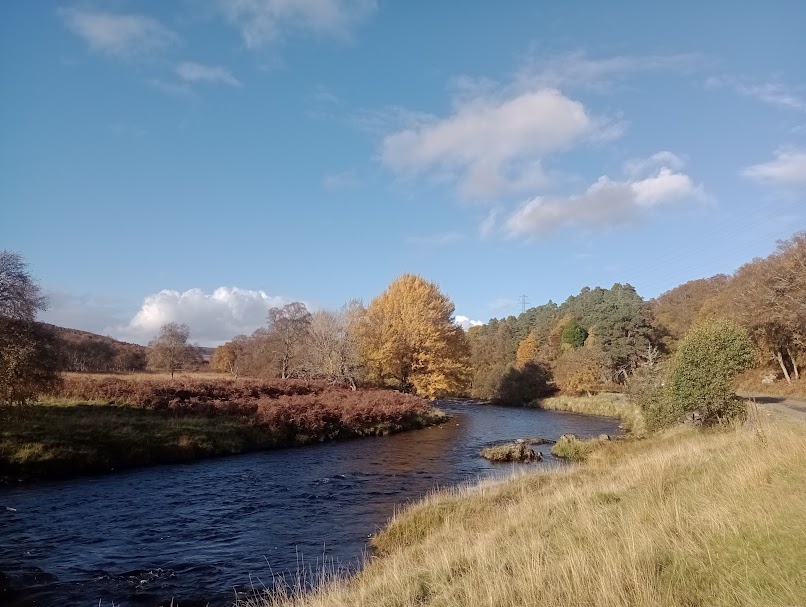 Trees and a river