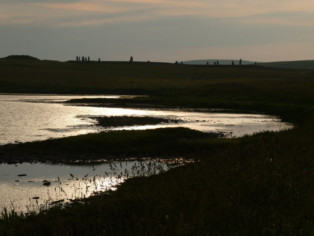 Brodgar, Evening Wildlife Walks