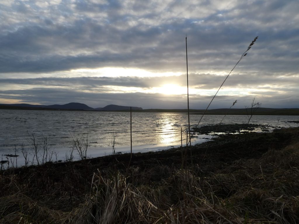 Special Offer, Stenness Loch