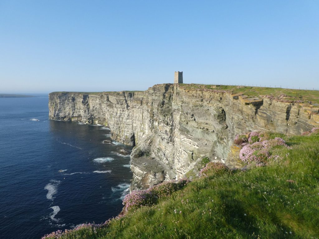 Marwick Head, Evening Wildlife Walk