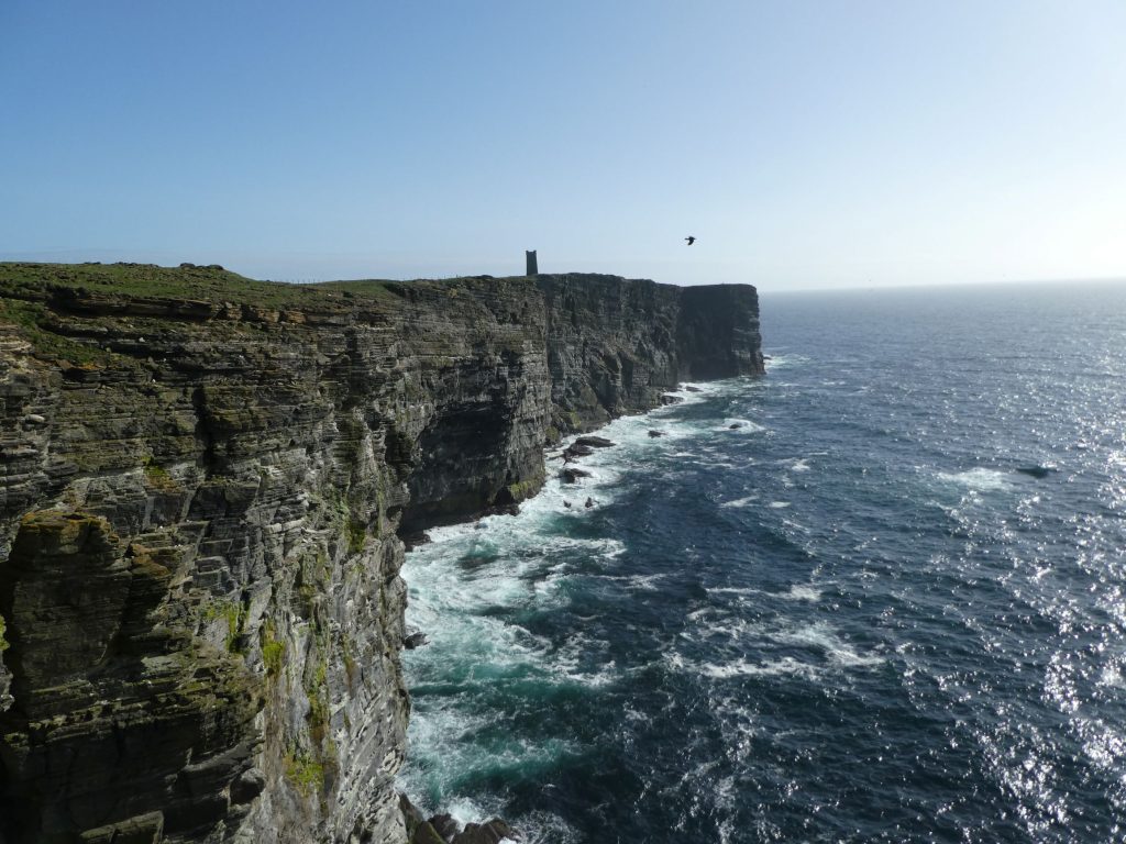 Seabird Cliffs, Seabird City Experience