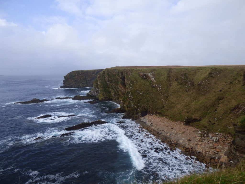 Coastline, Seal Pup Walk